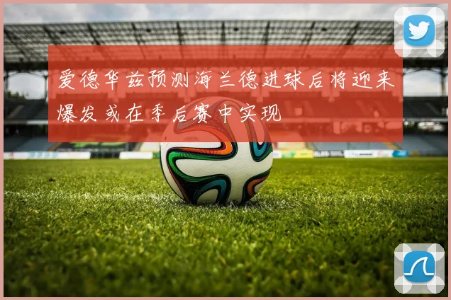 爱德华兹预测海兰德进球后将迎来爆发或在季后赛中实现