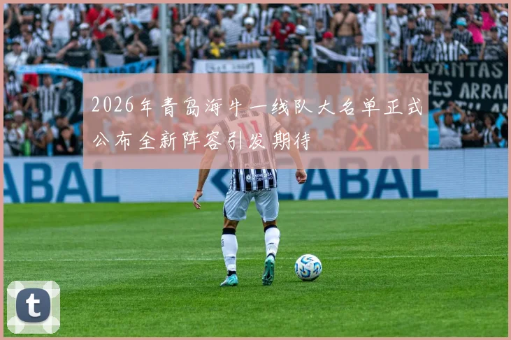 2026年青岛海牛一线队大名单正式公布全新阵容引发期待